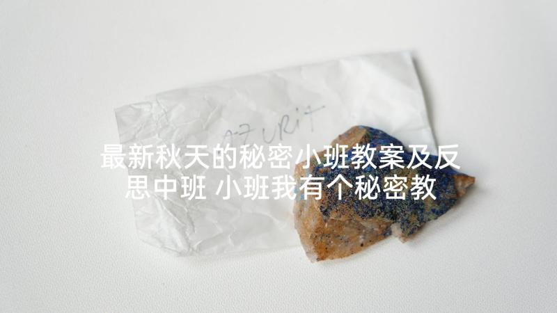 最新秋天的秘密小班教案及反思中班 小班我有个秘密教案反思(优质5篇)