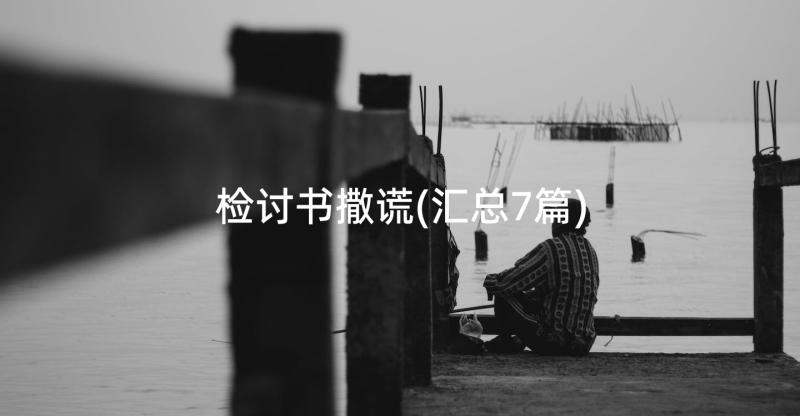 检讨书撒谎(汇总7篇)