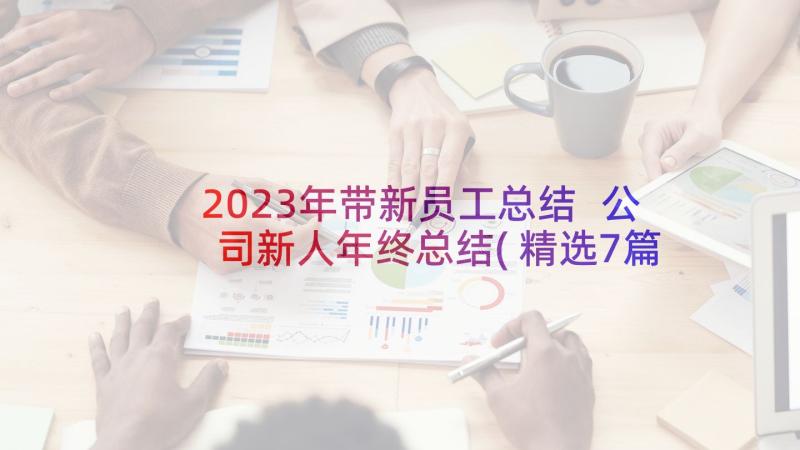 2023年带新员工总结 公司新人年终总结(精选7篇)