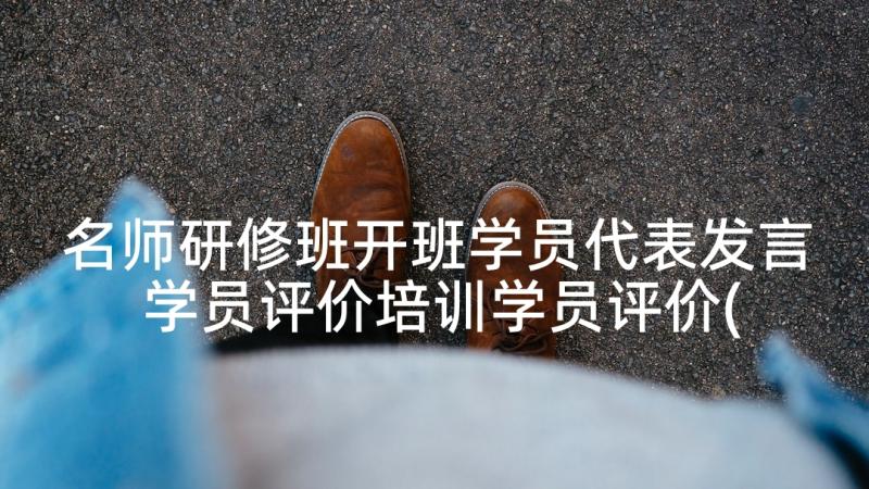 名师研修班开班学员代表发言 学员评价培训学员评价(优质10篇)