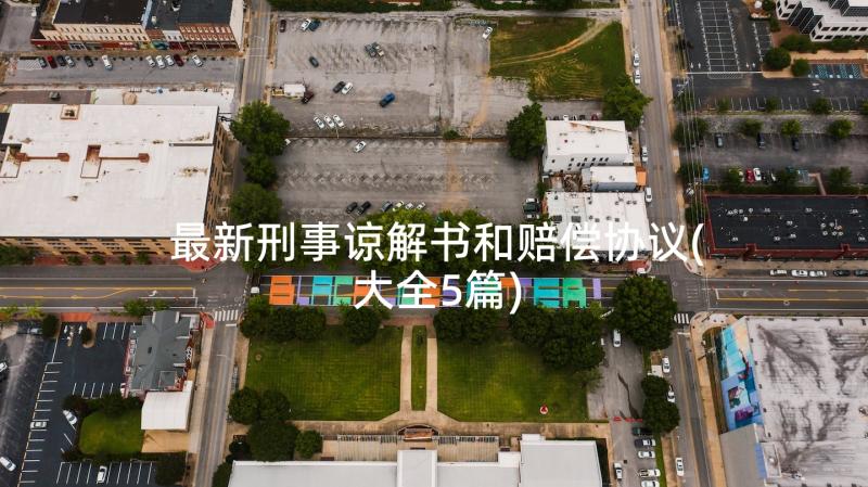 最新刑事谅解书和赔偿协议(大全5篇)