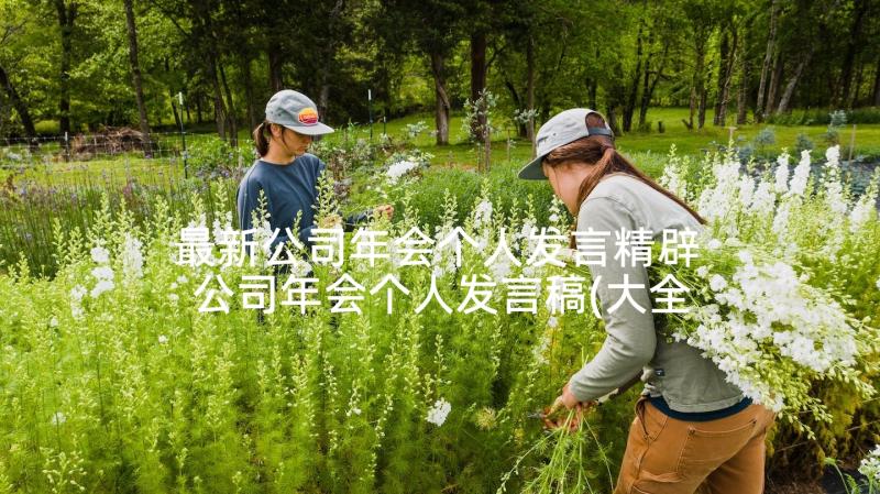 最新公司年会个人发言精辟 公司年会个人发言稿(大全5篇)