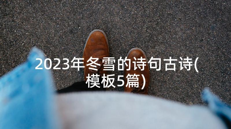 2023年冬雪的诗句古诗(模板5篇)