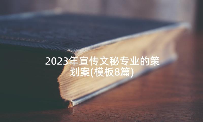 2023年宣传文秘专业的策划案(模板8篇)
