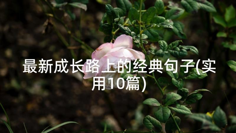 最新成长路上的经典句子(实用10篇)