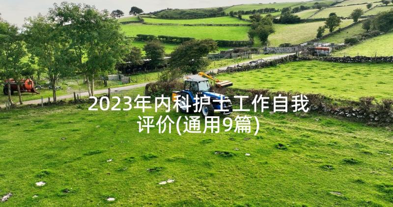 2023年内科护士工作自我评价(通用9篇)