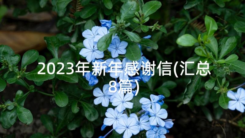 2023年新年感谢信(汇总8篇)