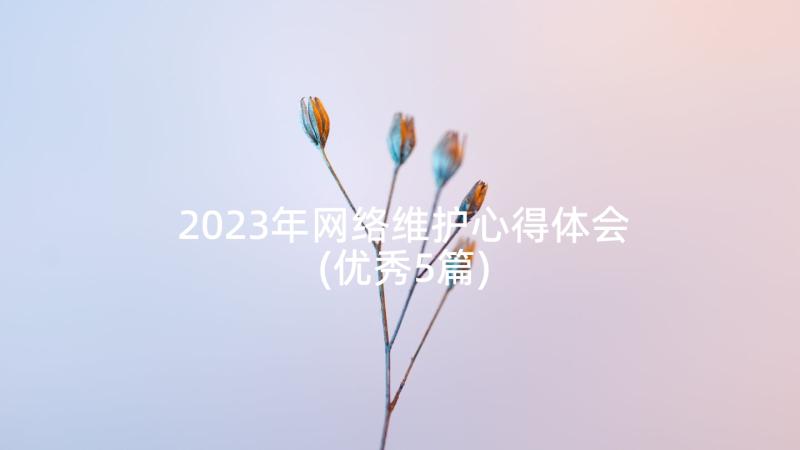 2023年网络维护心得体会(优秀5篇)