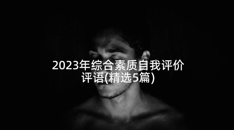 2023年综合素质自我评价评语(精选5篇)