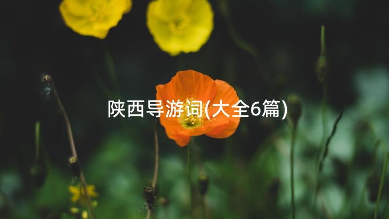 陕西导游词(大全6篇)