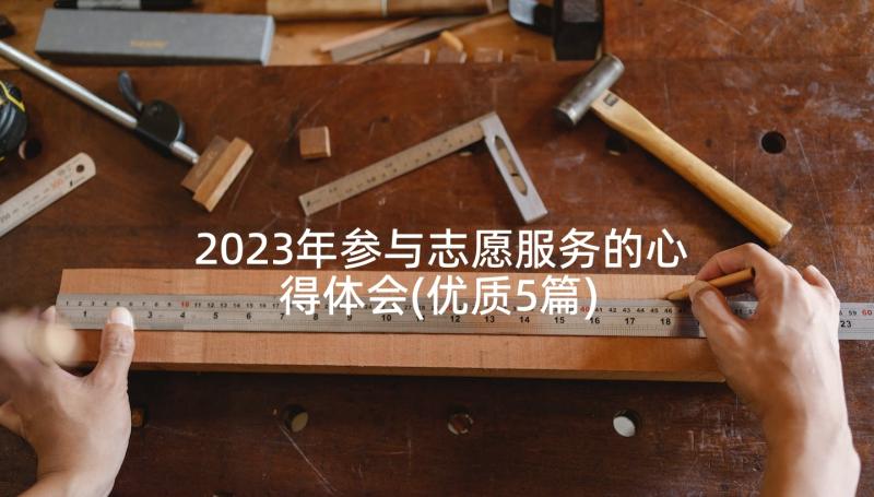 2023年参与志愿服务的心得体会(优质5篇)