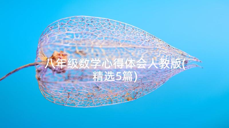 八年级数学心得体会人教版(精选5篇)