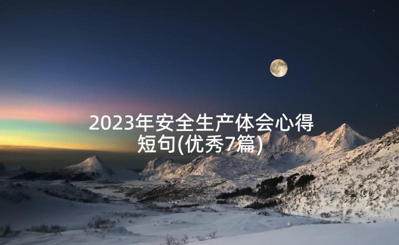 2023年安全生产体会心得短句(优秀7篇)