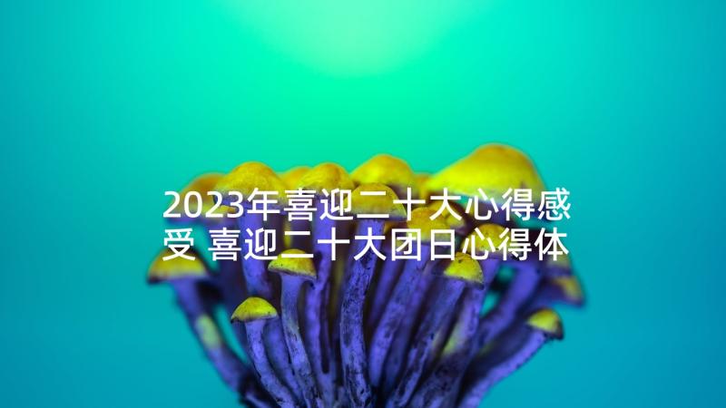 2023年喜迎二十大心得感受 喜迎二十大团日心得体会(大全9篇)