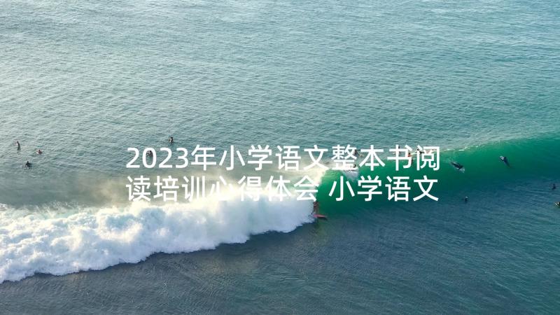 2023年小学语文整本书阅读培训心得体会 小学语文阅读培训学习心得体会(精选5篇)