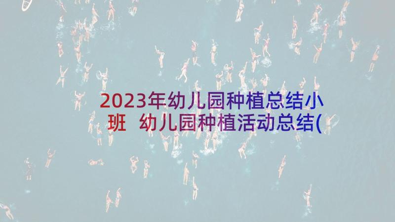 2023年幼儿园种植总结小班 幼儿园种植活动总结(精选5篇)