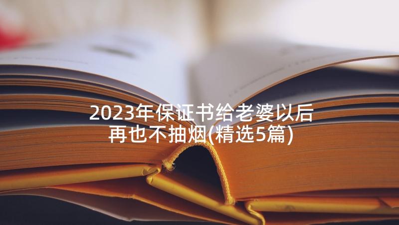 2023年保证书给老婆以后再也不抽烟(精选5篇)