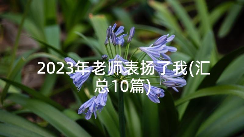 2023年老师表扬了我(汇总10篇)