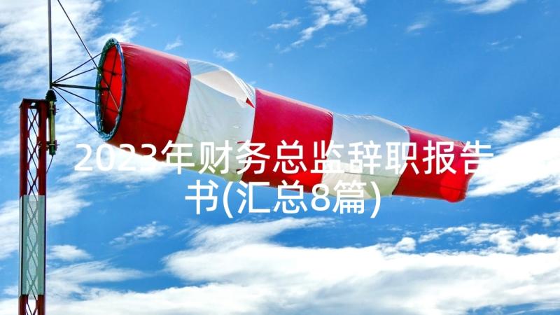 2023年财务总监辞职报告书(汇总8篇)