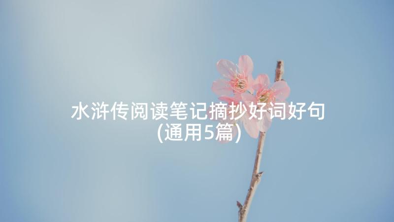 水浒传阅读笔记摘抄好词好句(通用5篇)