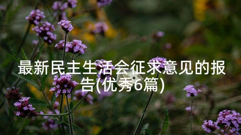 最新民主生活会征求意见的报告(优秀6篇)