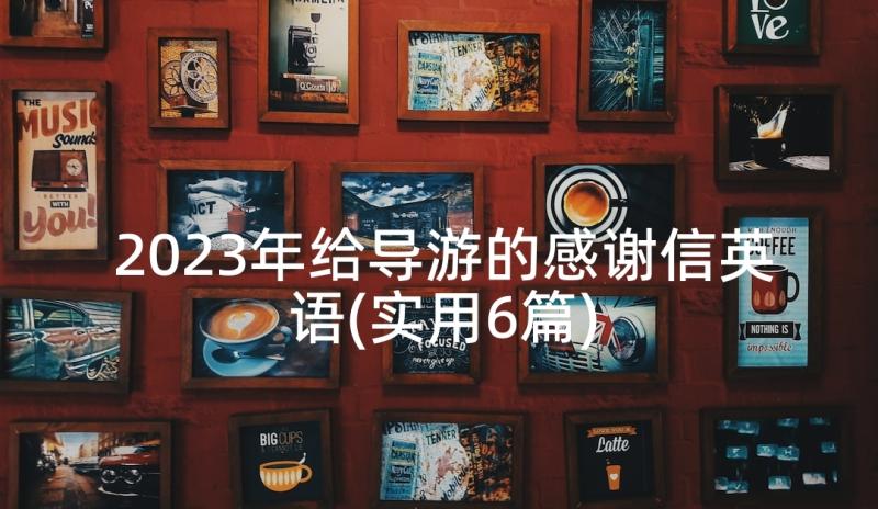 2023年给导游的感谢信英语(实用6篇)