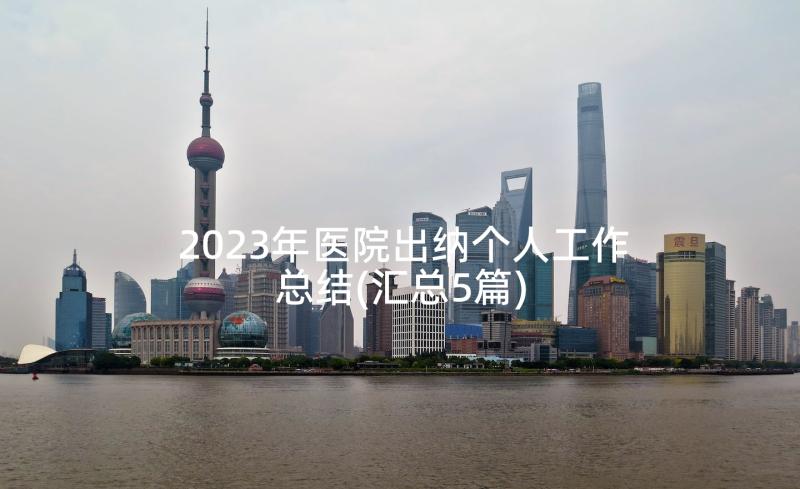 2023年医院出纳个人工作总结(汇总5篇)