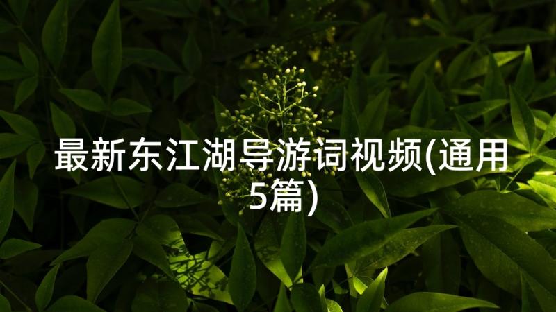 最新东江湖导游词视频(通用5篇)