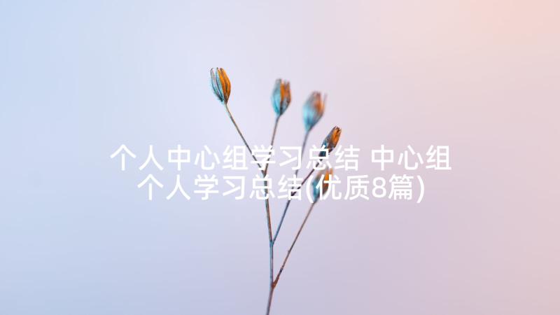 个人中心组学习总结 中心组个人学习总结(优质8篇)