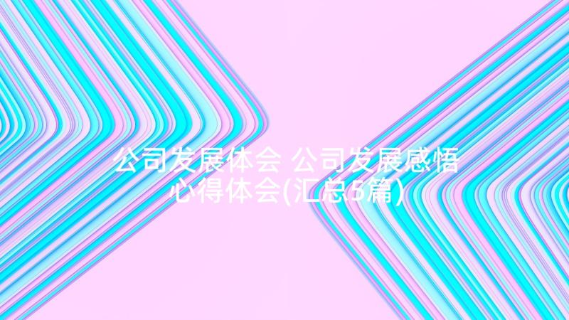 公司发展体会 公司发展感悟心得体会(汇总5篇)