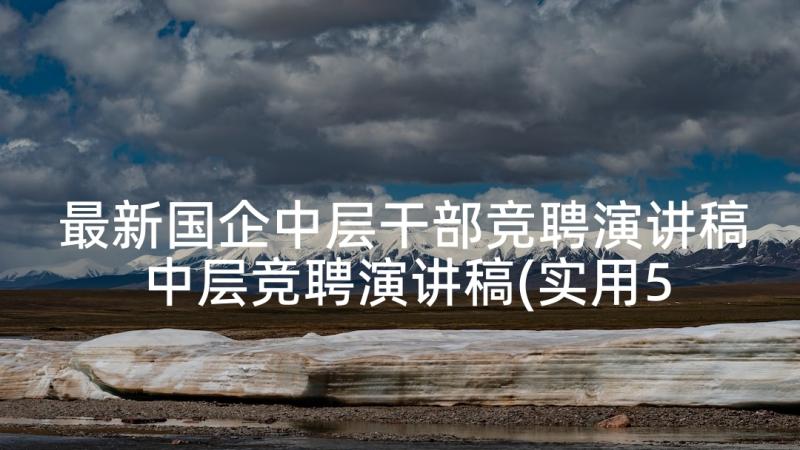 最新国企中层干部竞聘演讲稿 中层竞聘演讲稿(实用5篇)