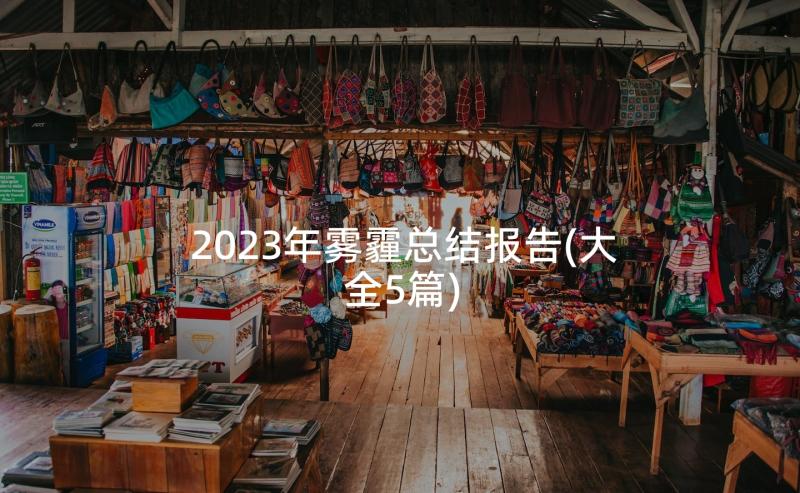 2023年雾霾总结报告(大全5篇)