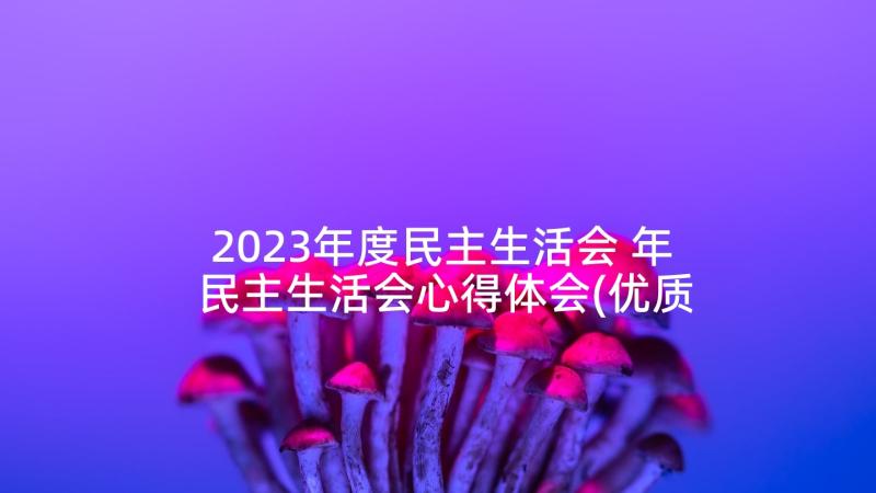 2023年度民主生活会 年民主生活会心得体会(优质5篇)