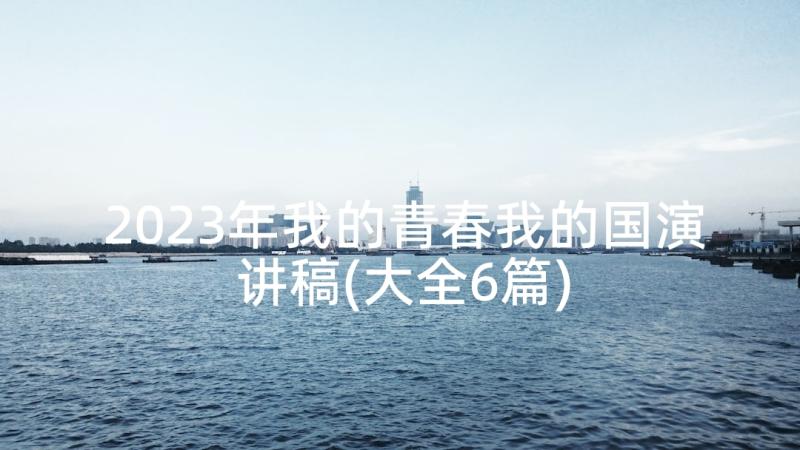 2023年我的青春我的国演讲稿(大全6篇)