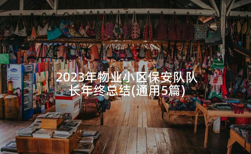 2023年物业小区保安队队长年终总结(通用5篇)