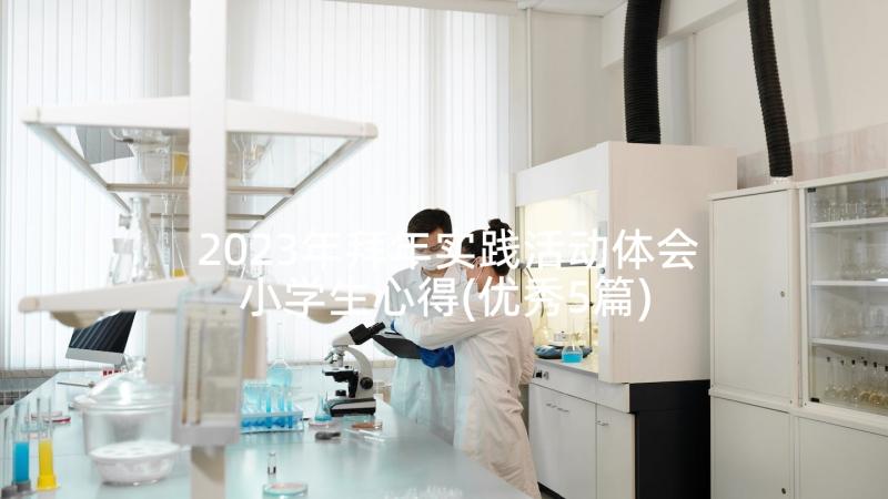 2023年拜年实践活动体会小学生心得(优秀5篇)