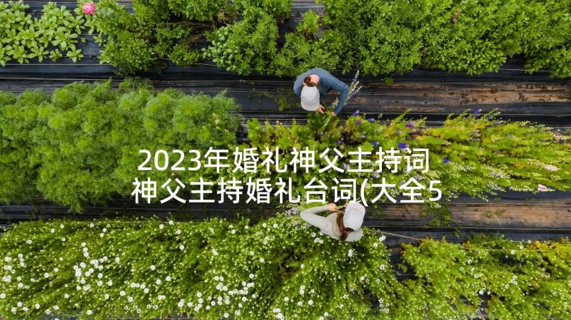 2023年婚礼神父主持词 神父主持婚礼台词(大全5篇)