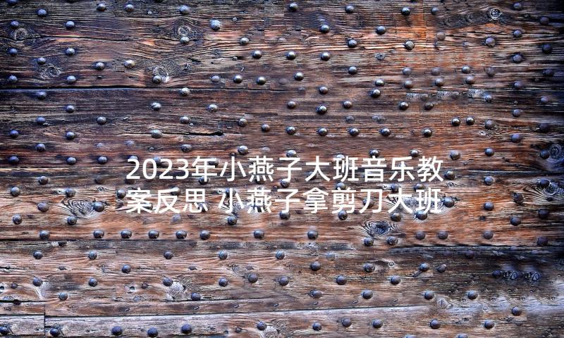 2023年小燕子大班音乐教案反思 小燕子拿剪刀大班音乐教案(优质5篇)