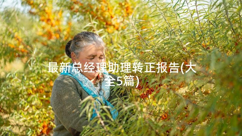 最新总经理助理转正报告(大全5篇)