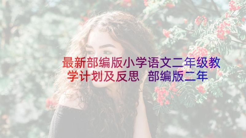 最新部编版小学语文二年级教学计划及反思 部编版二年级语文教学计划(模板5篇)