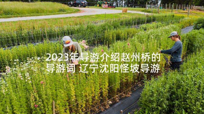 2023年导游介绍赵州桥的导游词 辽宁沈阳怪坡导游词介绍(大全5篇)