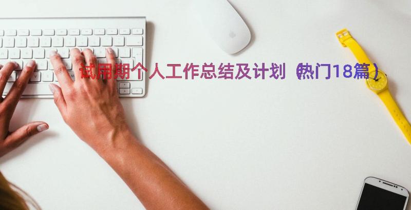 试用期个人工作总结及计划（热门18篇）