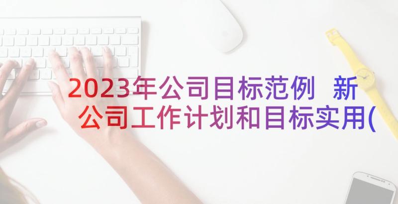 2023年公司目标范例 新公司工作计划和目标实用(通用10篇)