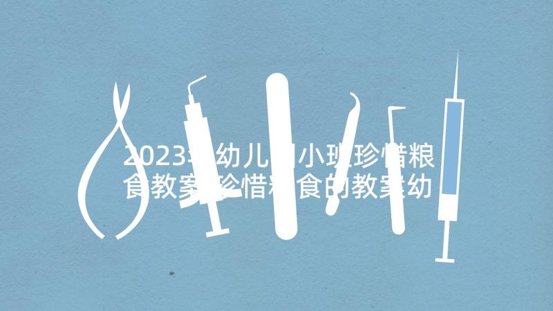 2023年幼儿园小班珍惜粮食教案 珍惜粮食的教案幼儿园(大全5篇)