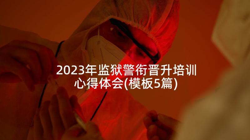 2023年监狱警衔晋升培训心得体会(模板5篇)