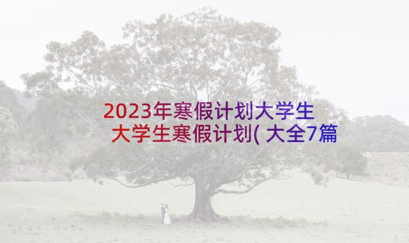 2023年寒假计划大学生 大学生寒假计划(大全7篇)