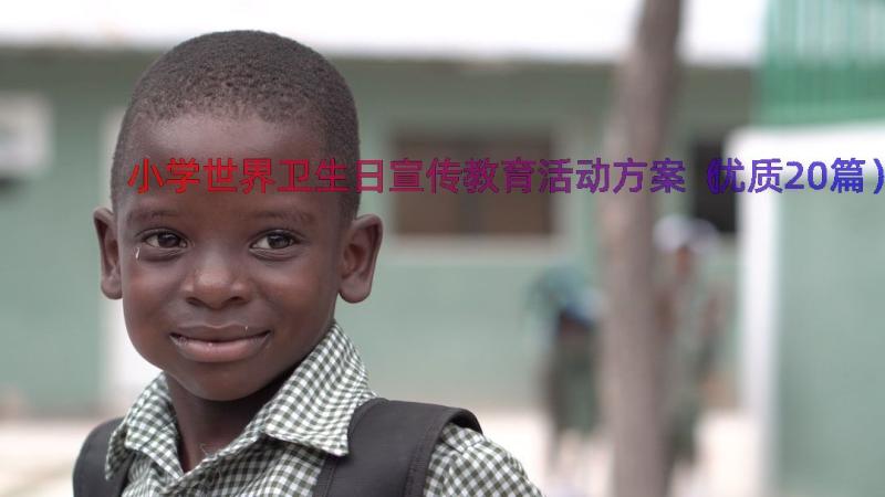 小学世界卫生日宣传教育活动方案（优质20篇）