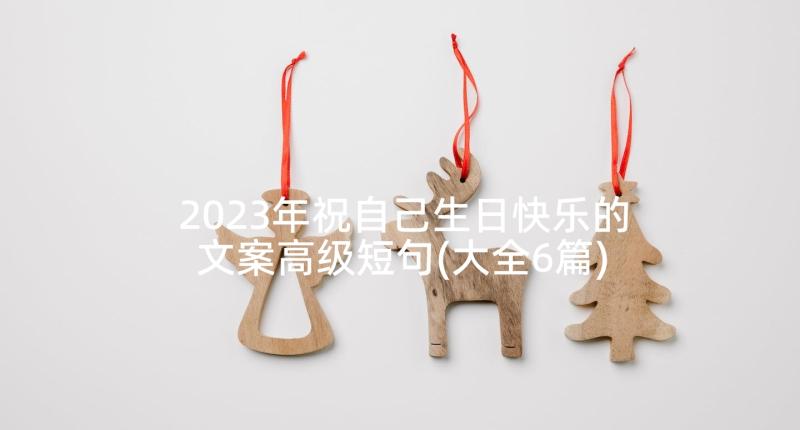 2023年祝自己生日快乐的文案高级短句(大全6篇)