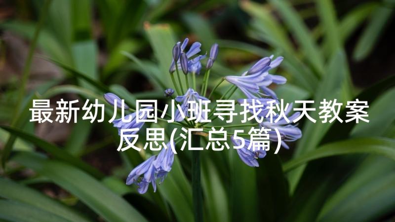 最新幼儿园小班寻找秋天教案反思(汇总5篇)