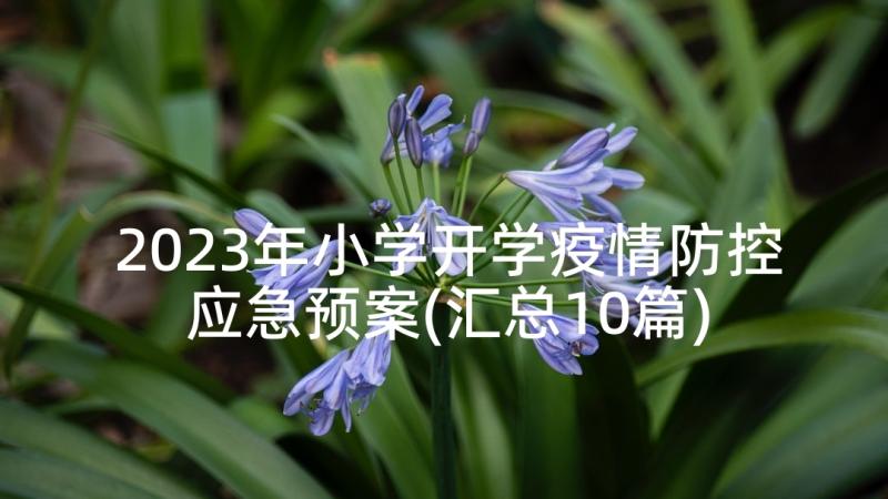 2023年小学开学疫情防控应急预案(汇总10篇)